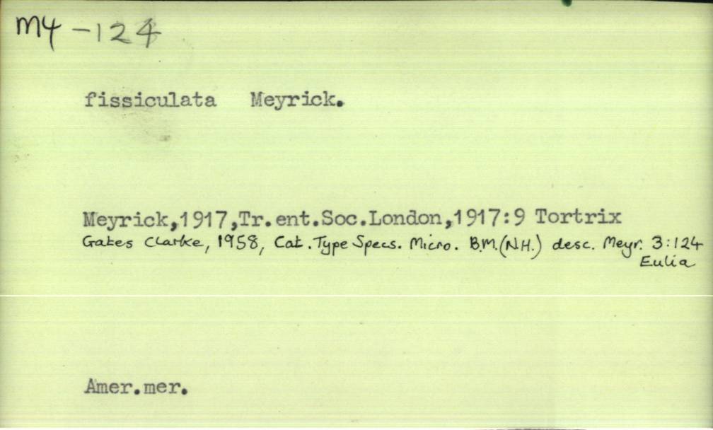 front of card